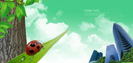 離婚糾紛法律案例